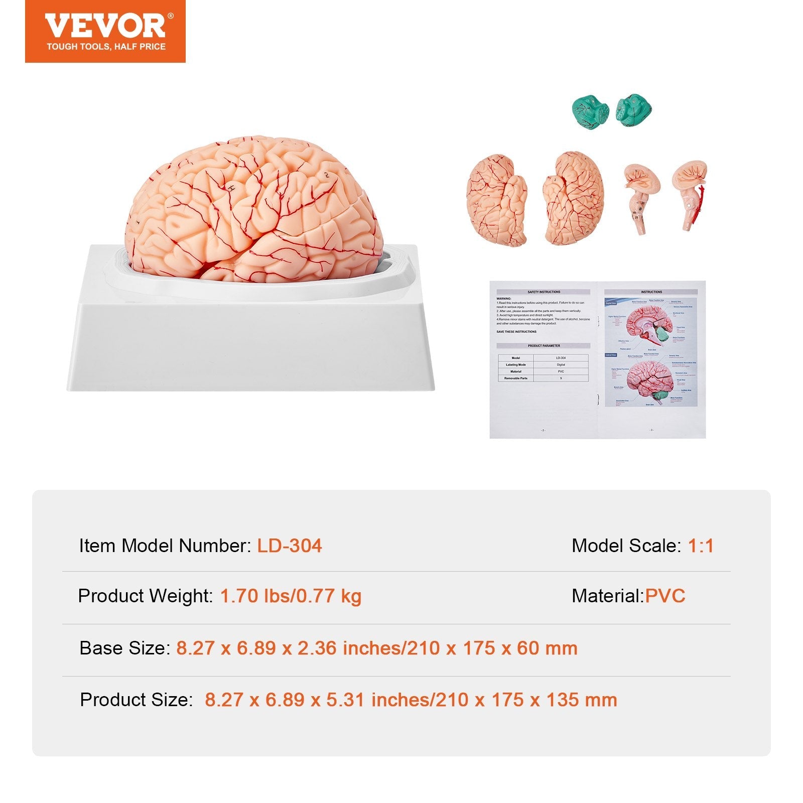 VEVOR Human Brain Model Anatomy, 1:1 Life-Size 9-Part Human Brain Anatomical Model with Labels & Display Base, Detachable Brain Model for Science Research Teaching Learning Classroom Study Display 