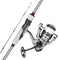 6.5 ft Carbon Fiber Spinning Rod and Reel Combo | 3000 Reel with 7+1 Ball Bearings & EVA Handle