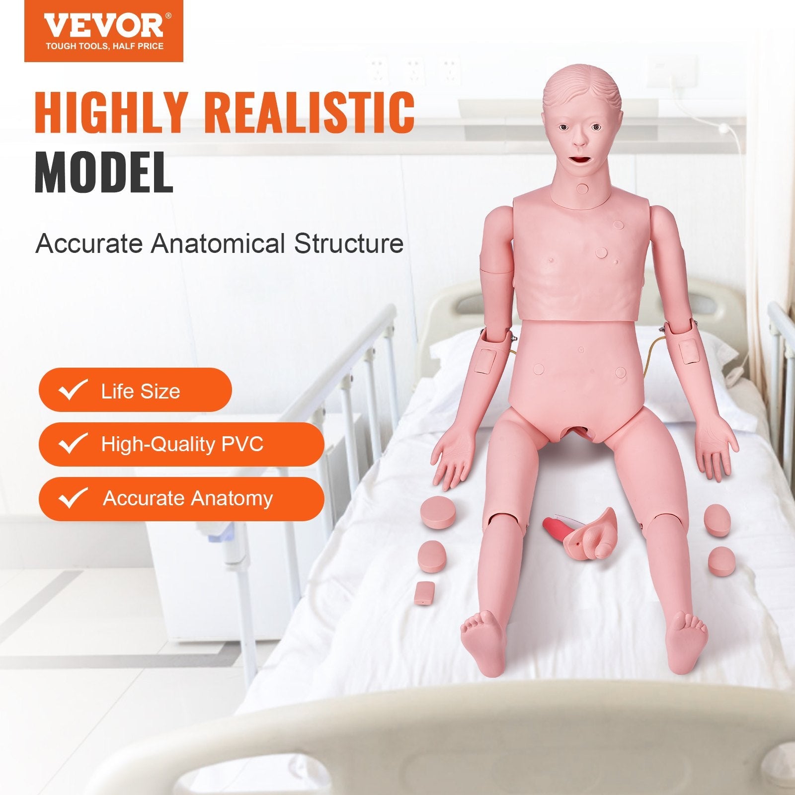 VEVOR Nursing Training Manikin, Male Life Size Demonstration Human Manikin for Nursing Training, Multifunctional Education Teaching Model Supplies, PVC Anatomical Mannequin Body Care Simulator Model 