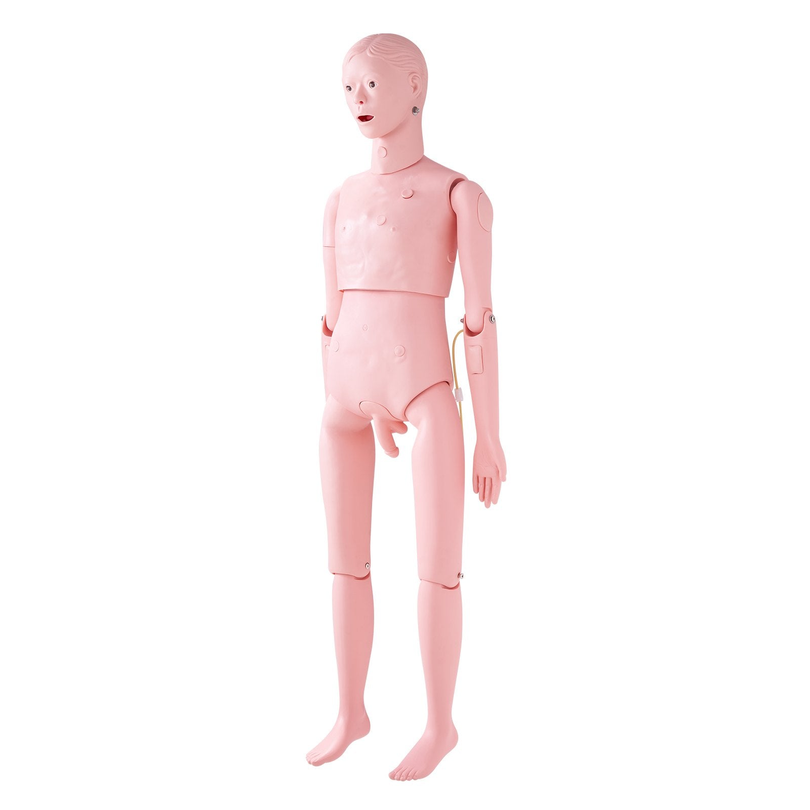 VEVOR Nursing Training Manikin, Male Life Size Demonstration Human Manikin for Nursing Training, Multifunctional Education Teaching Model Supplies, PVC Anatomical Mannequin Body Care Simulator Model 