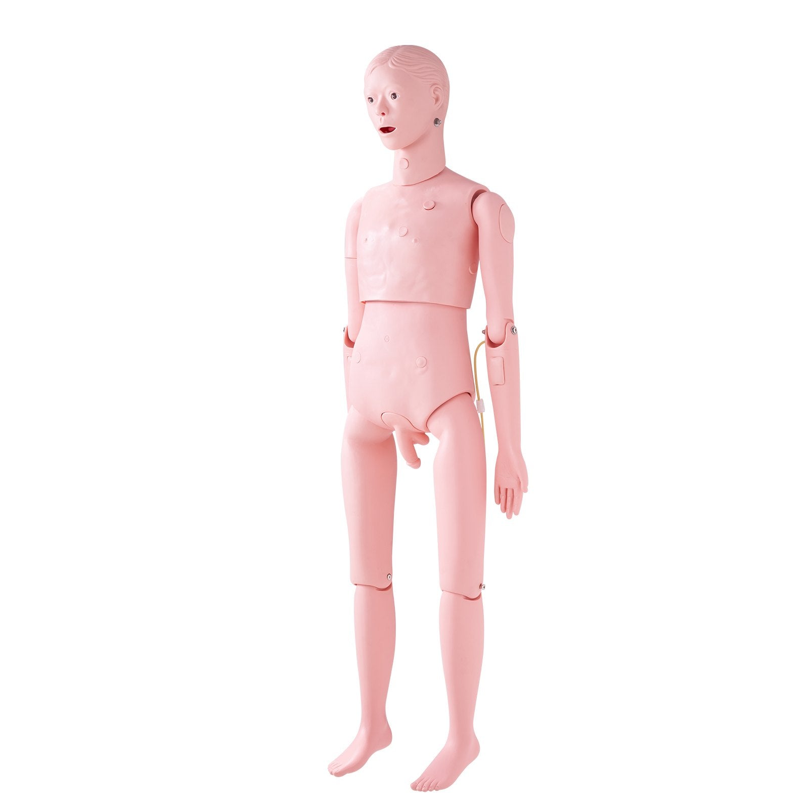 VEVOR Nursing Training Manikin, Male Life Size Demonstration Human Manikin for Nursing Training, Multifunctional Education Teaching Model Supplies, PVC Anatomical Mannequin Body Care Simulator Model 