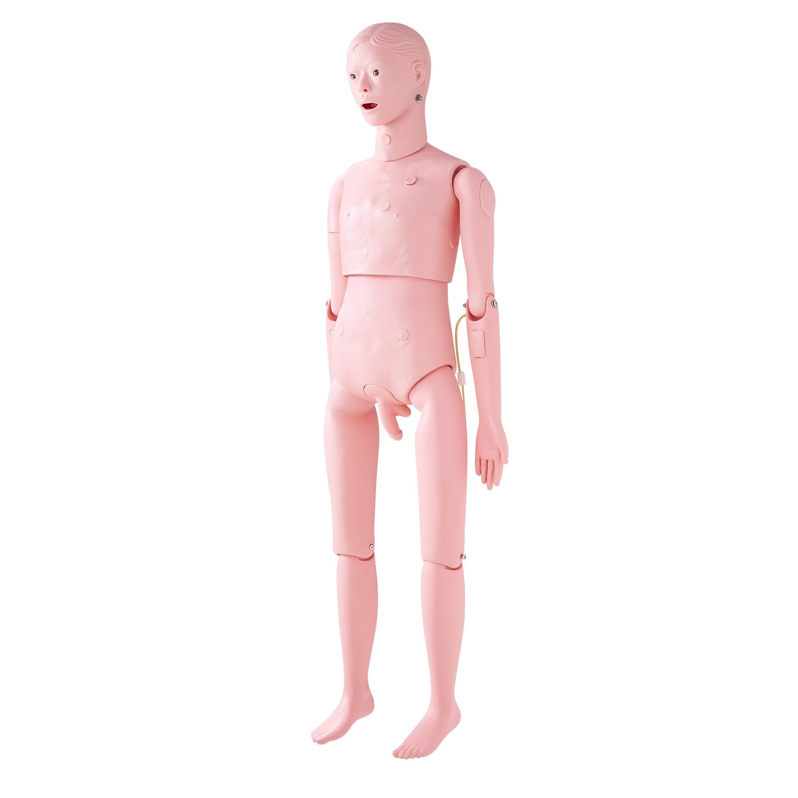 VEVOR Nursing Training Manikin, Male Life Size Demonstration Human Manikin for Nursing Training, Multifunctional Education Teaching Model Supplies, PVC Anatomical Mannequin Body Care Simulator Model 