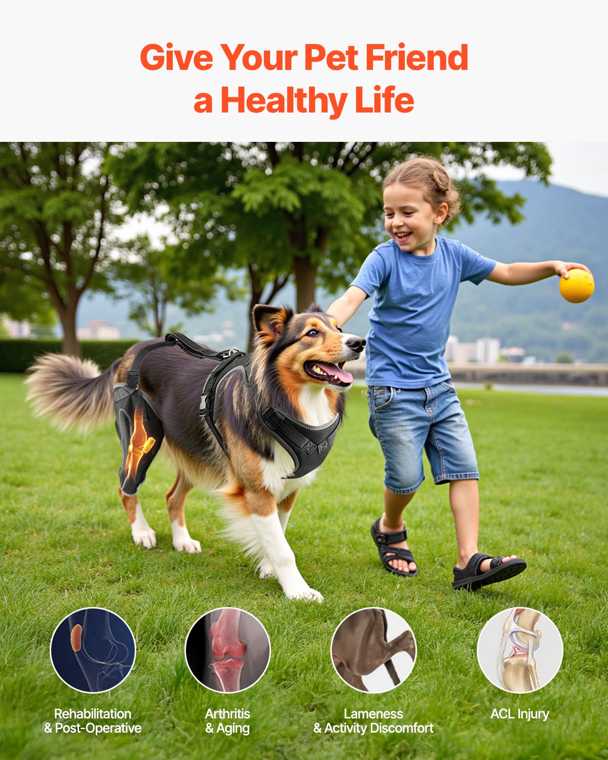 VEVOR Dog Knee Brace for Right Hind Leg Adjustable ACL Dog Leg Brace Pain Relief 