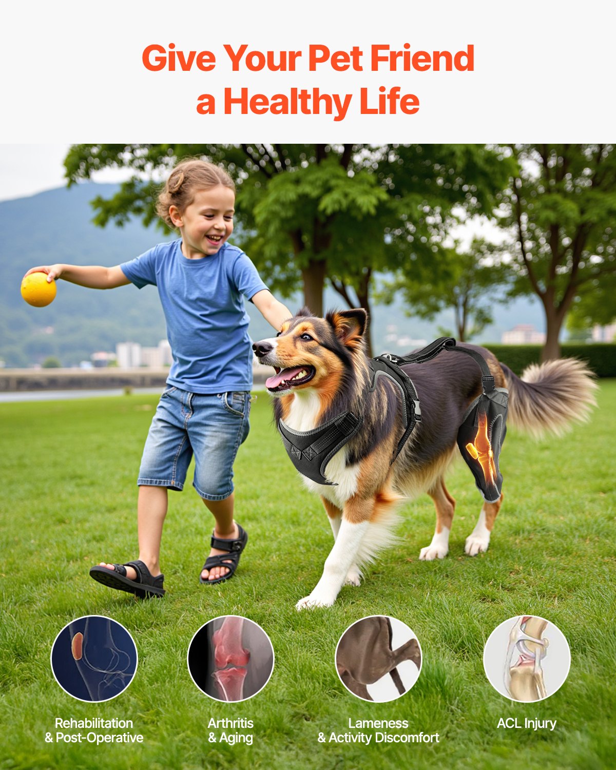VEVOR Dog Knee Brace for Left Hind Leg Adjustable ACL Dog Leg Brace Pain Relief 