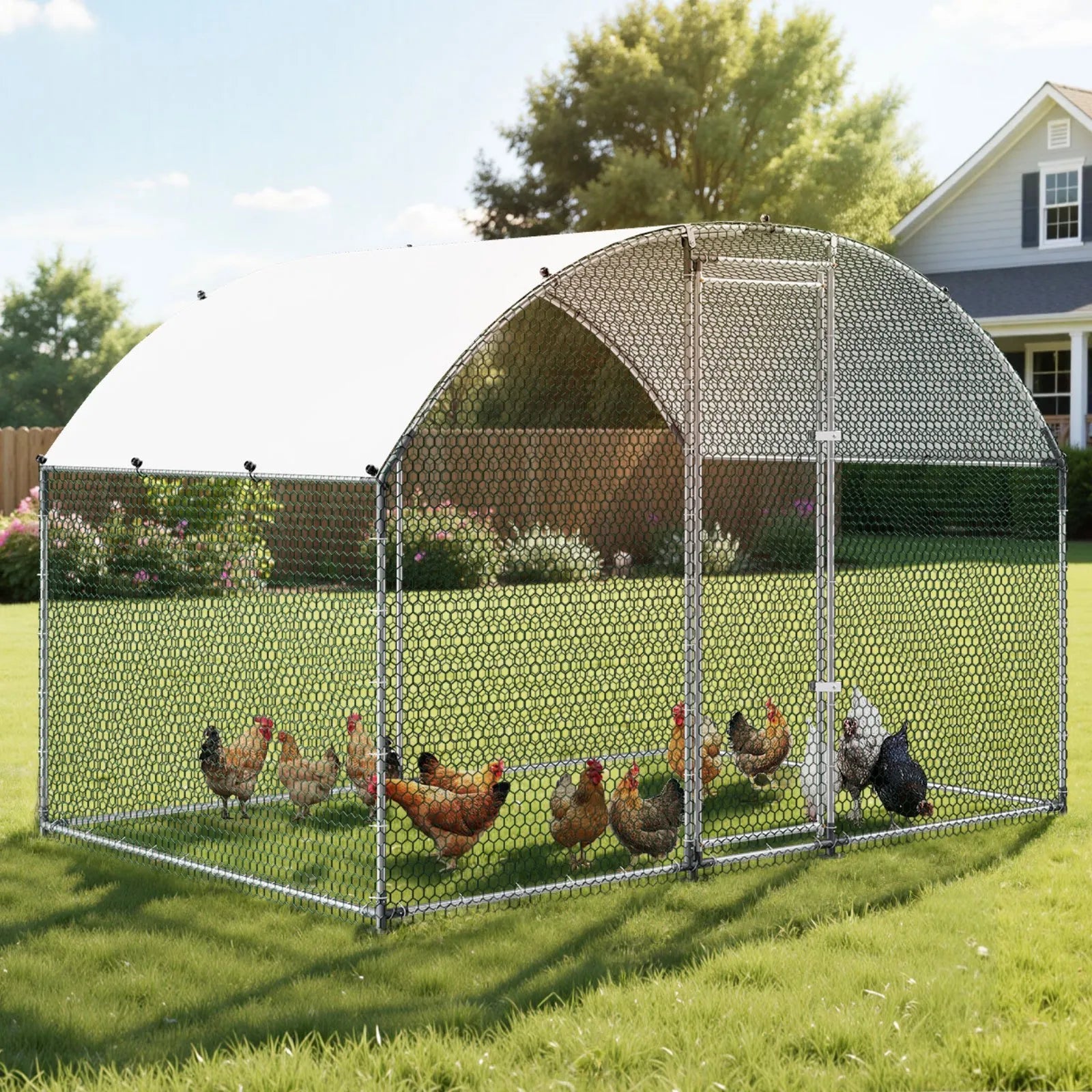 Large Walk-In Chicken Coop 9.8 x 6.6 x 6.6 FT – Metal Poultry Run with Dome Roof, Cover & Security Lock