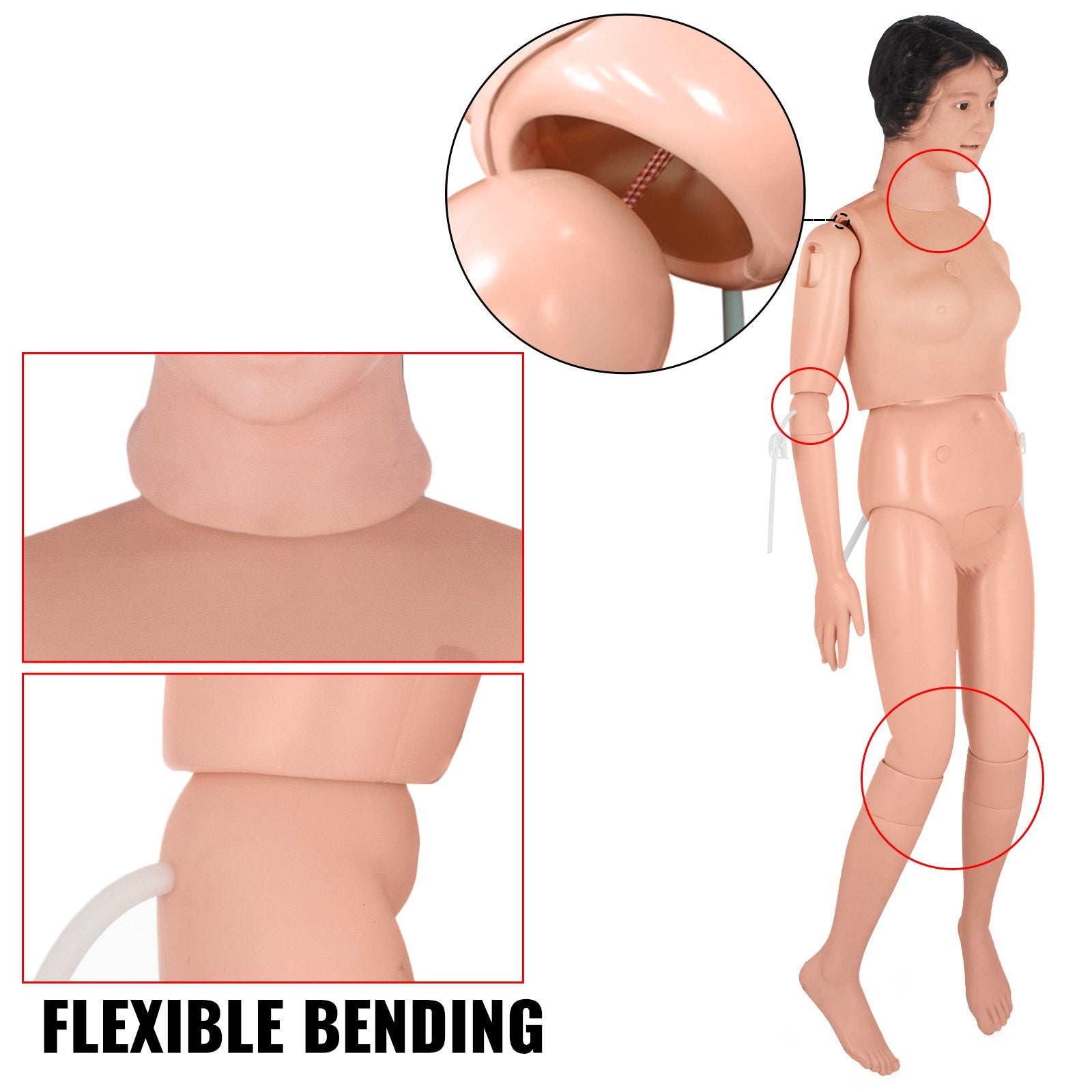 VEVOR Manikin for The Cure of The Patient Didactic Material in PVC Medical Training Teaching Manikin Model Woman for Teaching at School of Nursing Medicine 