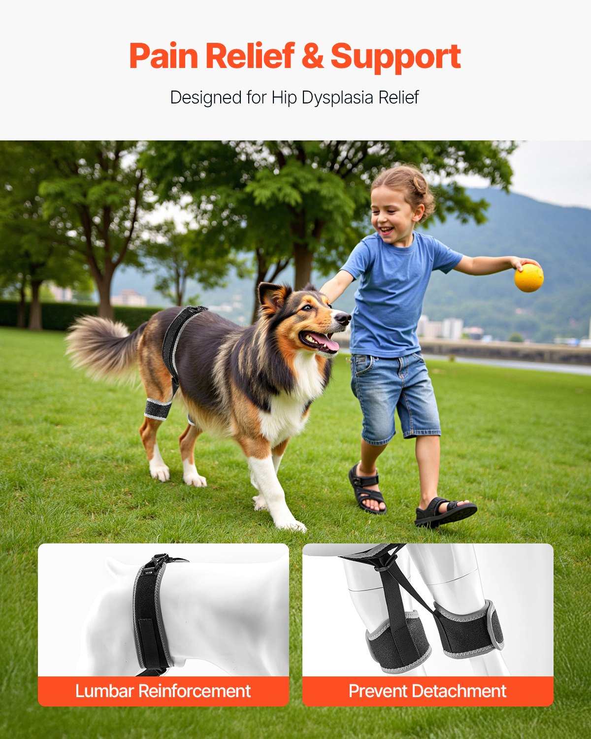VEVOR Dog Hip Support Brace Pet Hip Dysplasia Brace Harness Joint Pain Relief 
