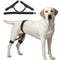 VEVOR Dog Hip Support Brace Pet Hip Dysplasia Brace Harness Joint Pain Relief