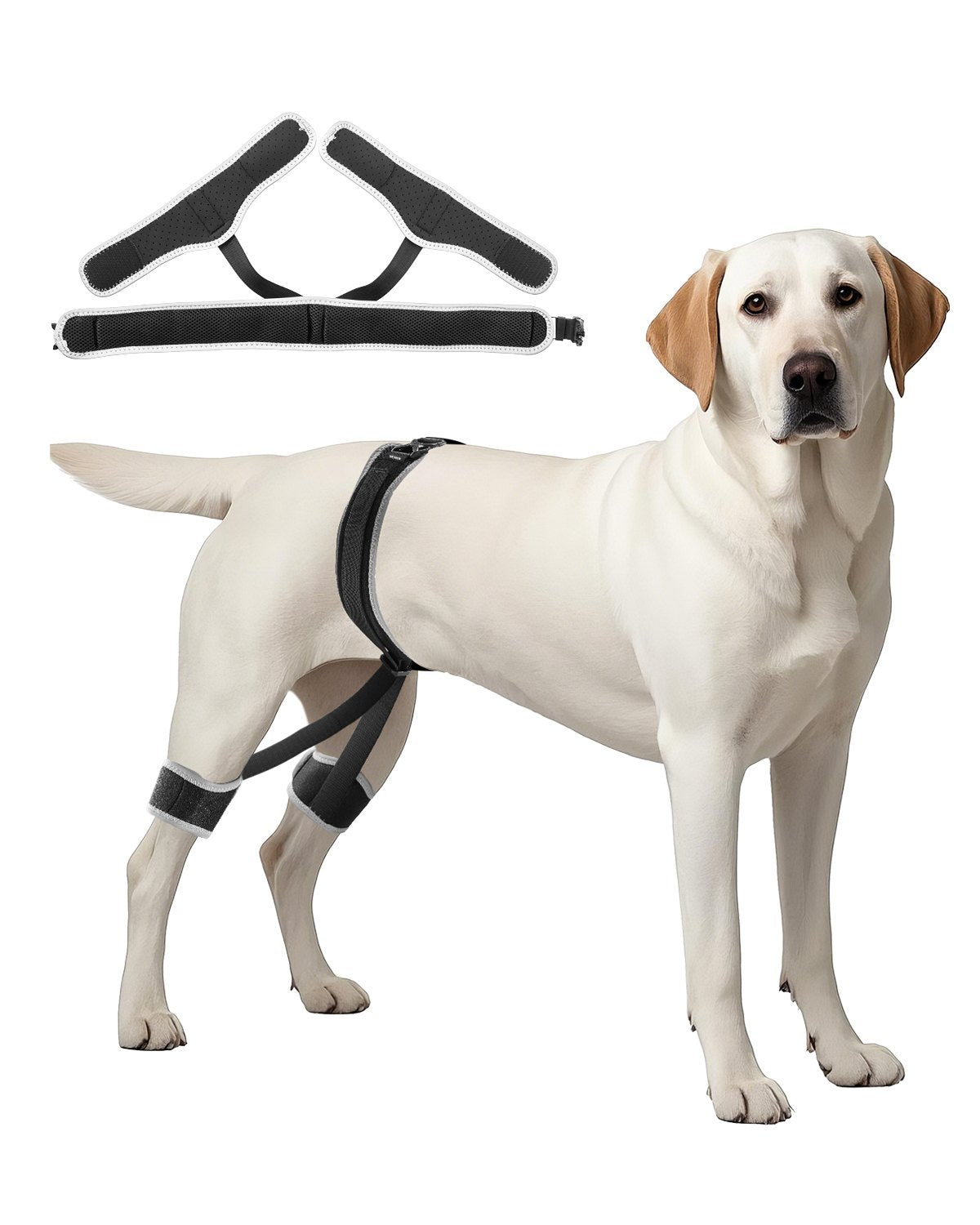VEVOR Dog Hip Support Brace Pet Hip Dysplasia Brace Harness Joint Pain Relief 