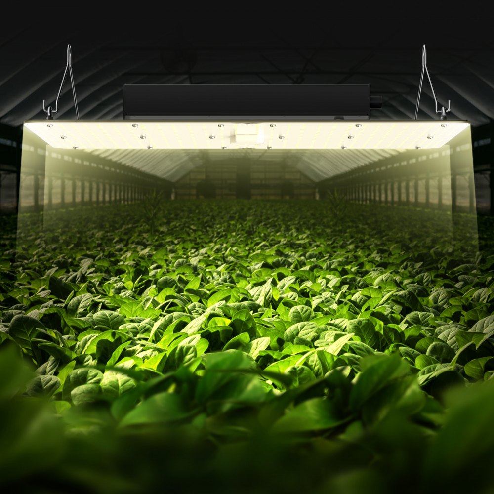 VEVOR LED Grow Light, 300W Full Spectrum Dimmable, High Yield Samsung 2B1B Diodes Growing Lamp for Indoor Plants Seedling Veg and Bloom Greenhouse Growing, Daisy Chain Driver for 3x3/4x4 ft Grow Tent 