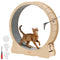 VEVOR Cat Exercise Wheel, 48 in Wooden Cat Running Wheel for Indoor Cats up to 28 lbs, Cats Treadmill with Carpeted Runway & Locking Mechanism, Quiet Roller Kitten Sport Toys for Pets Fitness & Health