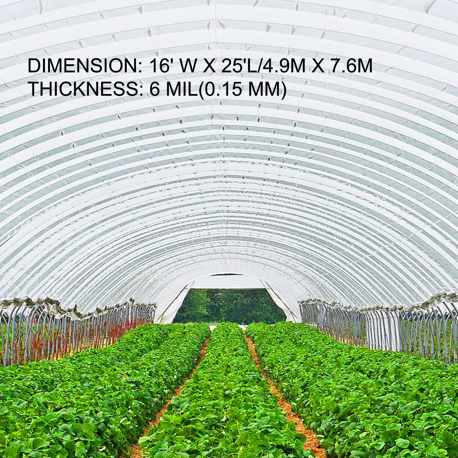 VEVOR Greenhouse Film 16 x 25 ft, Greenhouse Polyethylene Film 6 Mil Thickness, Greenhouse Plastic Clear Plastic Film UV Resistant, Polyethylene Film Keep Warming, Superior Strength Toughness 