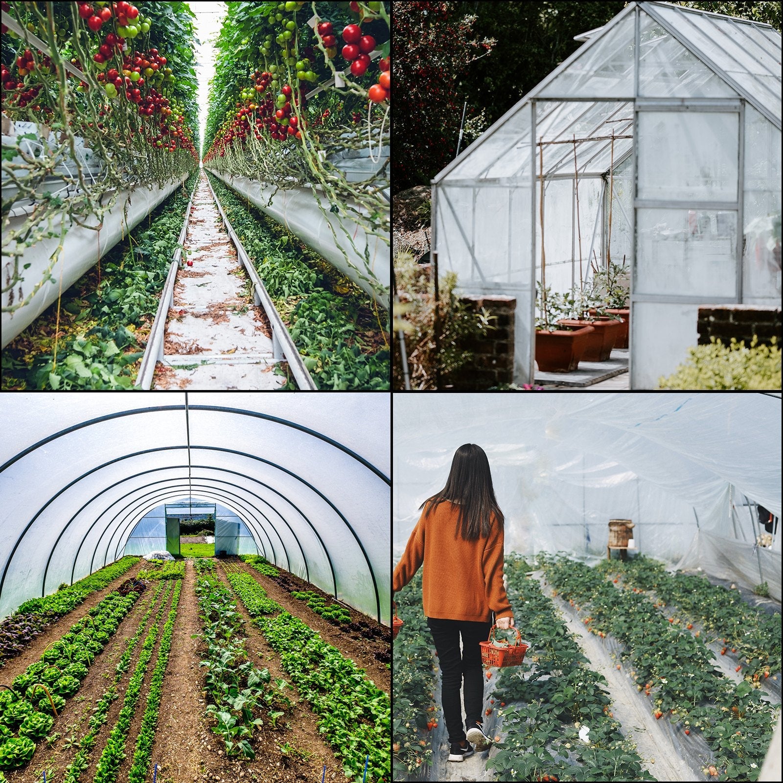 VEVOR Greenhouse Film 25 x 40 ft, Greenhouse Polyethylene Film 6 Mil Thickness, Greenhouse Plastic Greenhouse Clear Plastic Film UV Resistant, Polyethylene Film Keep Warming, Superior Strength 