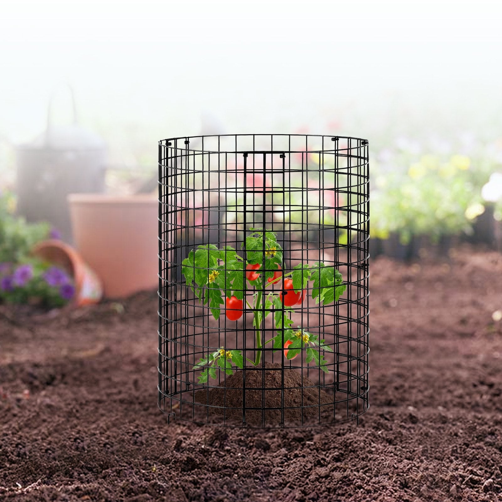VEVOR 6 Pack Plant Protector from Animals 12.6'' Dia. x 14'' H Metal Plant Cage 