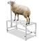 VEVOR Goat & Sheep Stand, 51x23 inch Livestock Stand, Metal Livestock Milking and Shearing Stand 21