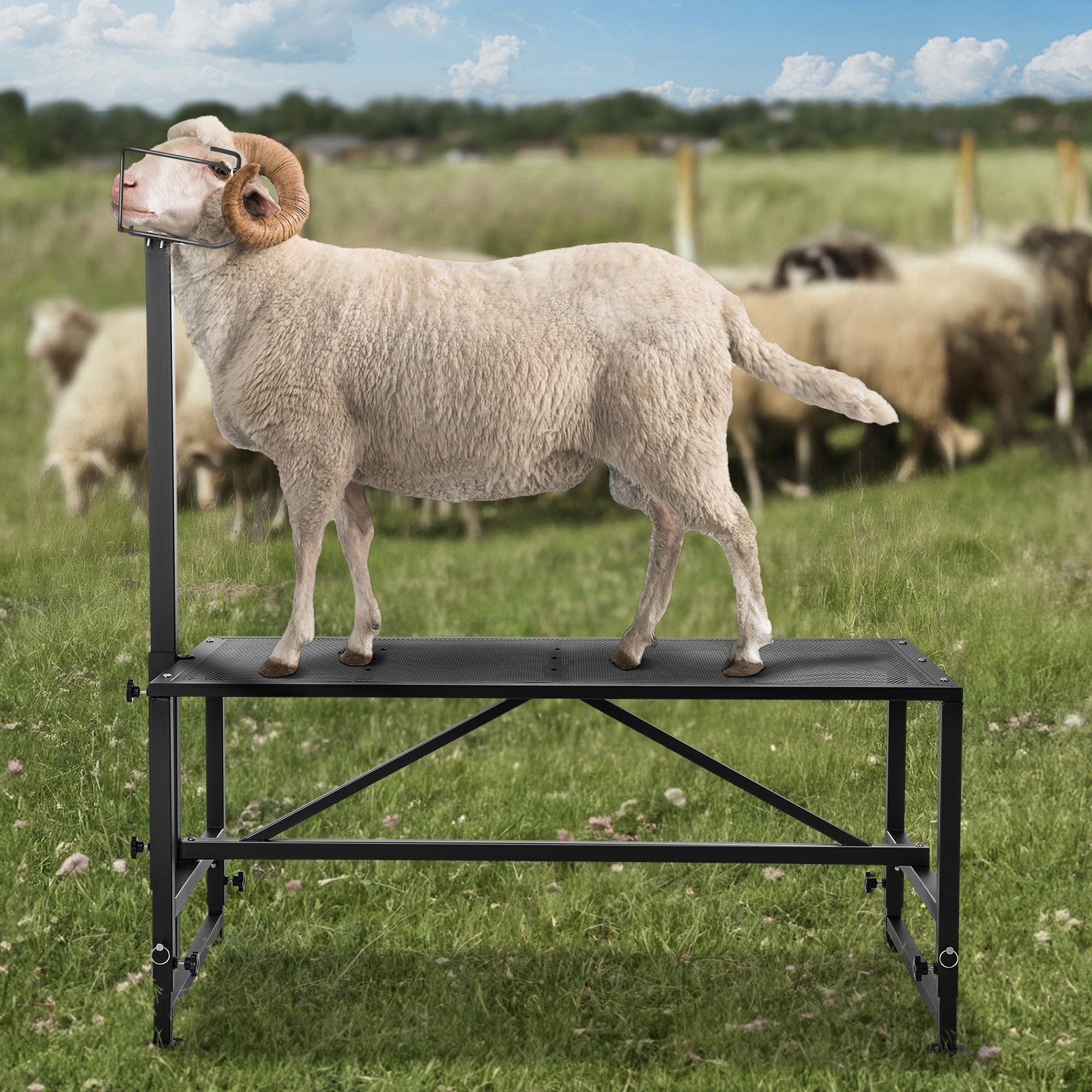 VEVOR Goat & Sheep Stand, 47x23 inch Livestock Stand, Metal Livestock Milking and Shearing Stand 21" to 33" Adjustable Height, with Headpiece and Nose Loop, 500lbs Loading Weight, Black 