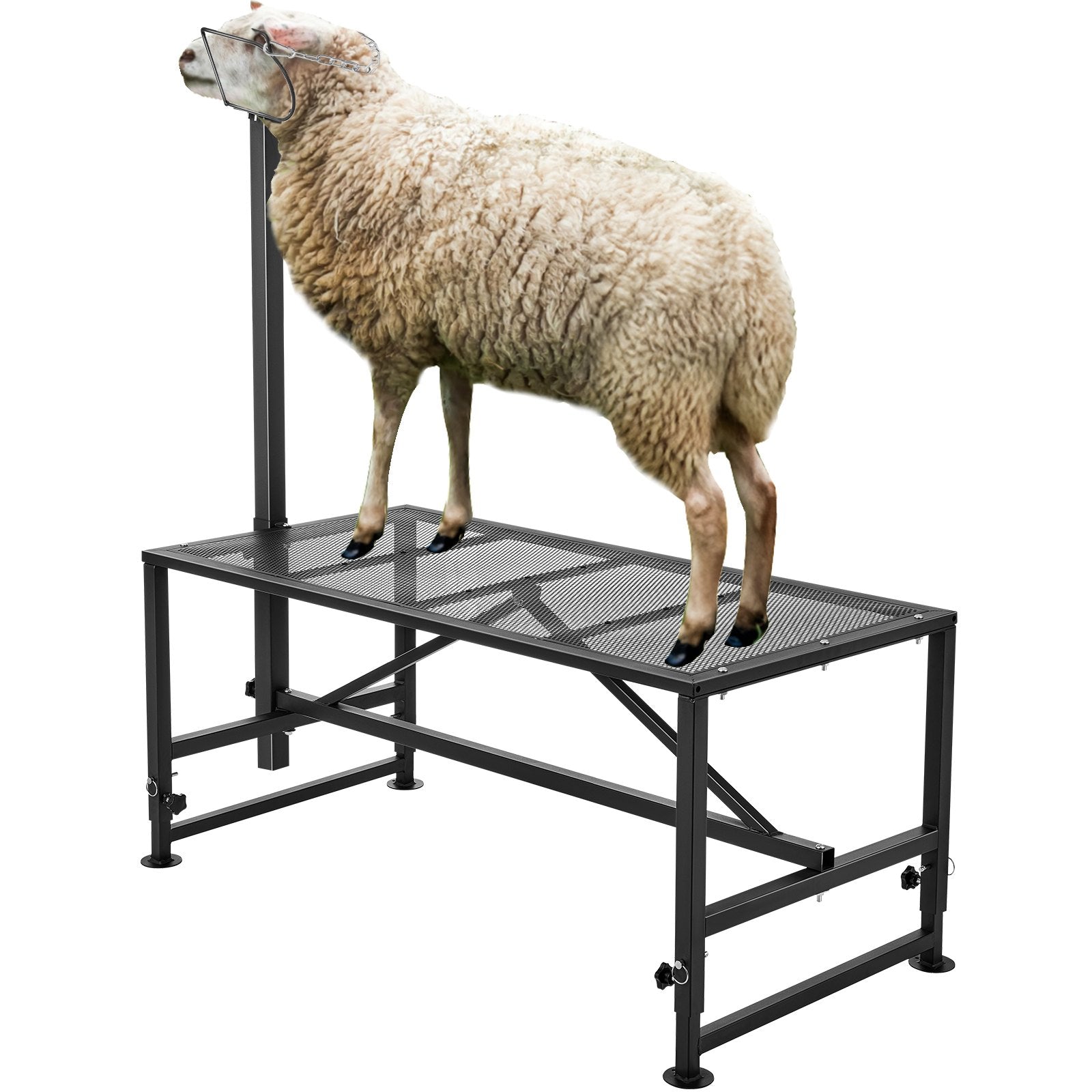 VEVOR Goat & Sheep Stand, 47x23 inch Livestock Stand, Metal Livestock Milking and Shearing Stand 21" to 33" Adjustable Height, with Headpiece and Nose Loop, 500lbs Loading Weight, Black 