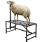 VEVOR Goat & Sheep Stand, 51x23 inch Livestock Stand, Metal Livestock Milking and Shearing Stand 21