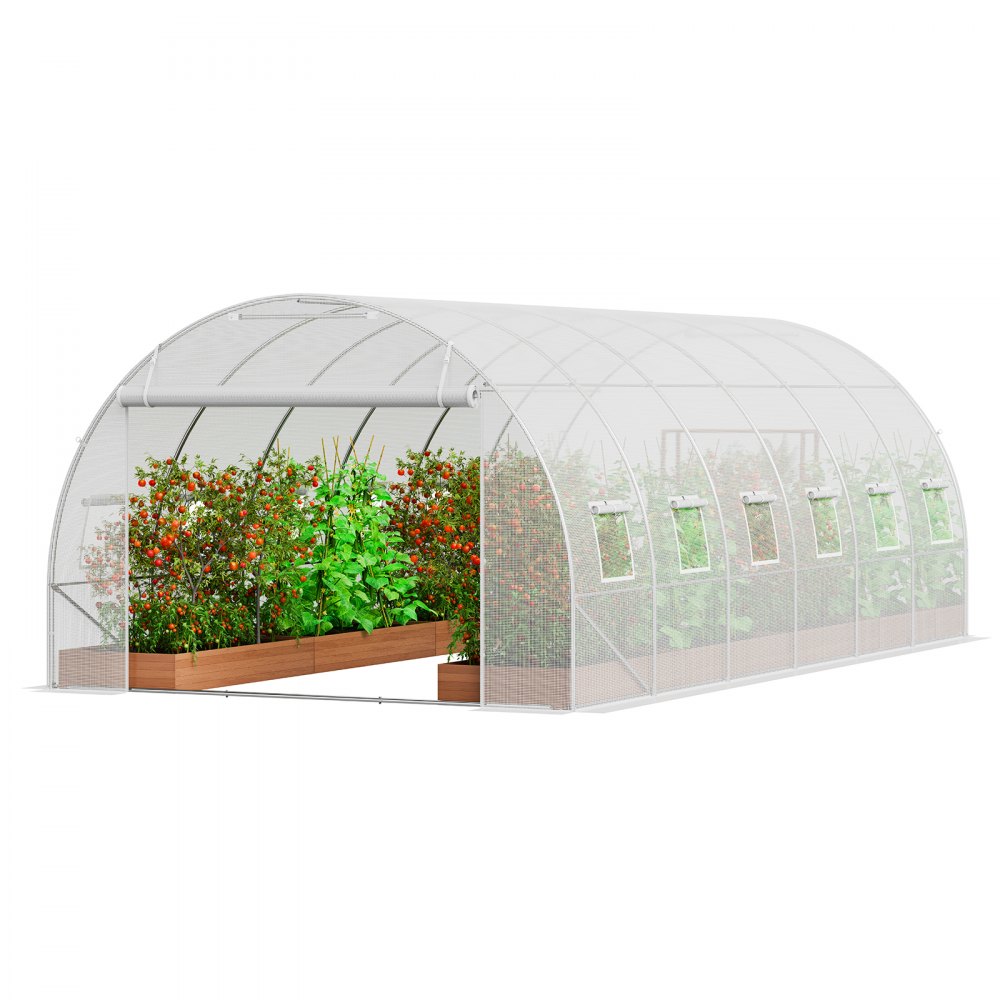 VEVOR Walk-in Tunnel Greenhouse 19.36x9.68x6.5ft Galvanized Frame PE Cover White 