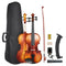 VEVOR Violin 4/4 Size Fiddle Set Solidwood for Beginners Glossy Brown Patterned
