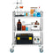VEVOR Lab Rolling Cart, 3-Shelf Stainless Steel Rolling Cart, Lab Serving Cart with Swivel Casters, Dental Utility Cart for Clinic, Lab,  Hospital, Salon, 26.38