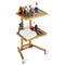 VEVOR 2 Tiers Stainless Steel Lab Carts with 2 Trays & 4 Silent Wheels Golden