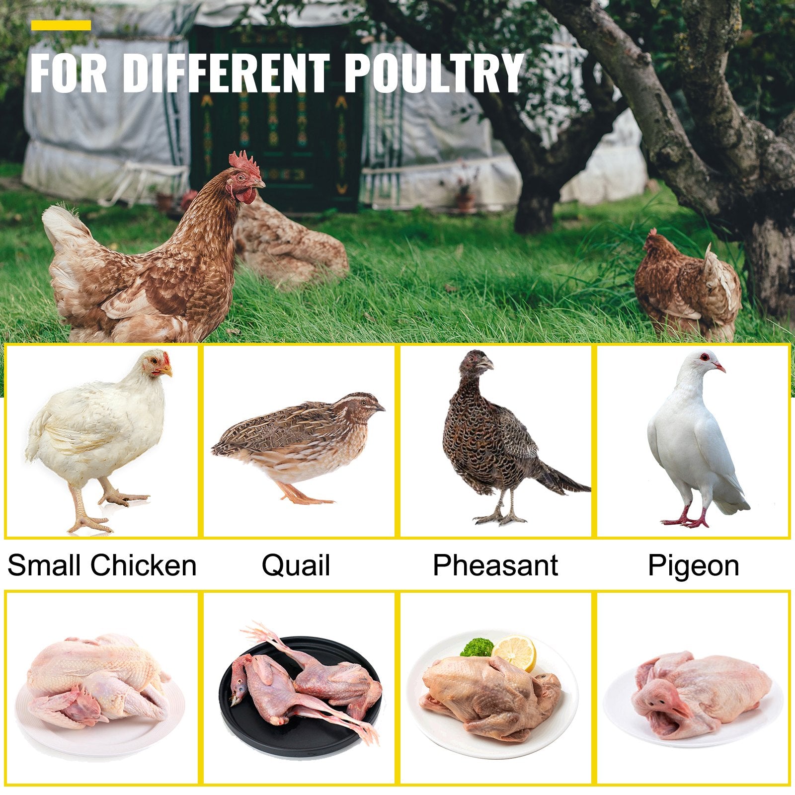VEVOR Chicken Plucker Drill Attachment, Stainless Steel Drill Chicken Plucker, 18 Fingers Chicken Feather Plucker Machine, 0.4 Inches Shank Poultry Defeathering Machine For Small Chicken Quail Pigeon 