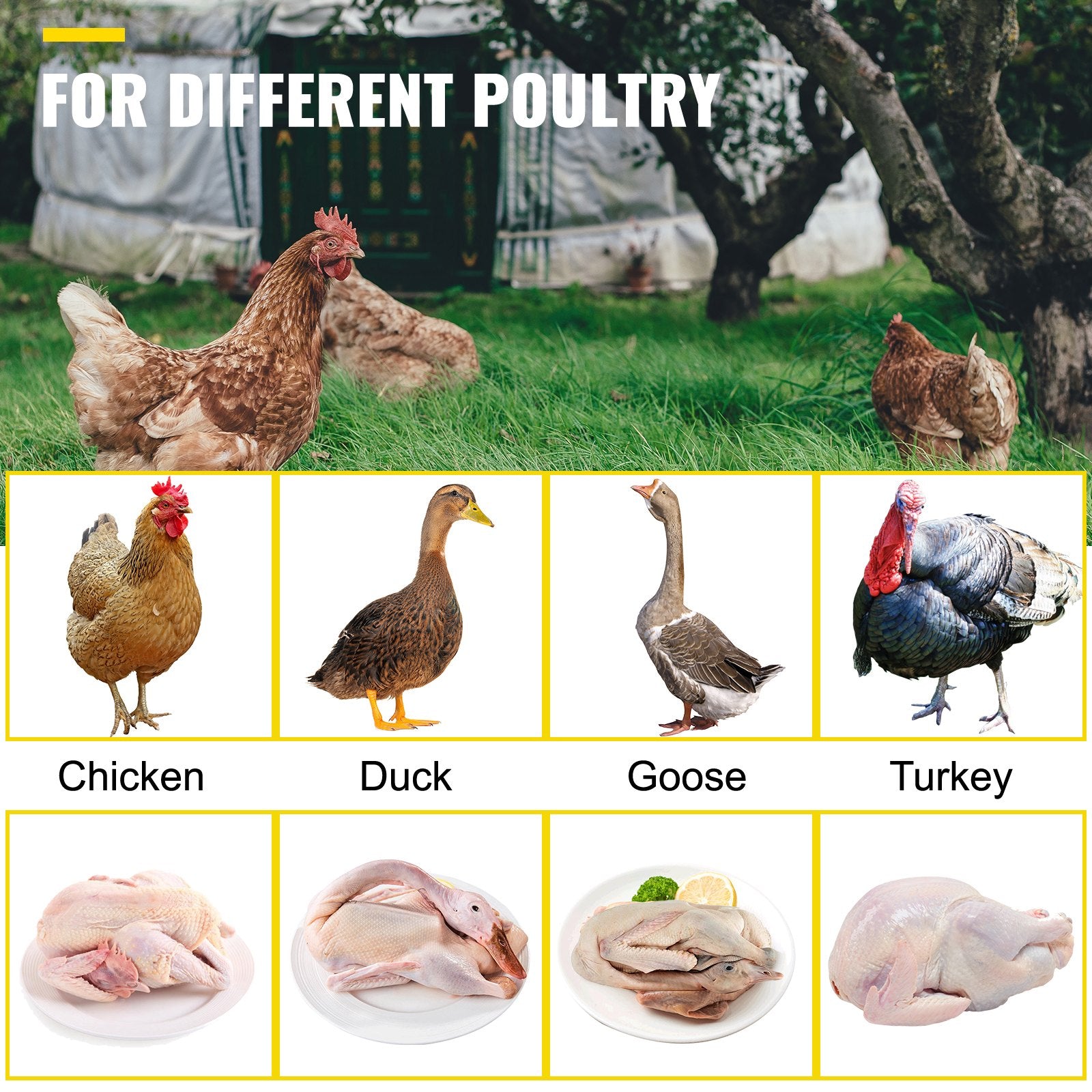 VEVOR Chicken Plucker Drill Attachment, Stainless Steel Drill Chicken Plucker, 24 Fingers Chicken Feather Plucker Machine, 0.4 Inches Shank Poultry Defeathering Machine for Broiler Goose Duck Turkey 