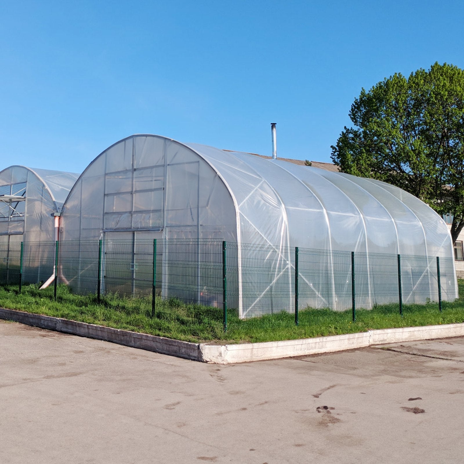 VEVOR Greenhouse Plastic Sheeting 25 x 25 ft, 6 Mil Thickness Clear Greenhouse Film, Polyethylene Film 4 Year UV Resistant, for Gardening, Farming, Agriculture, Garden 