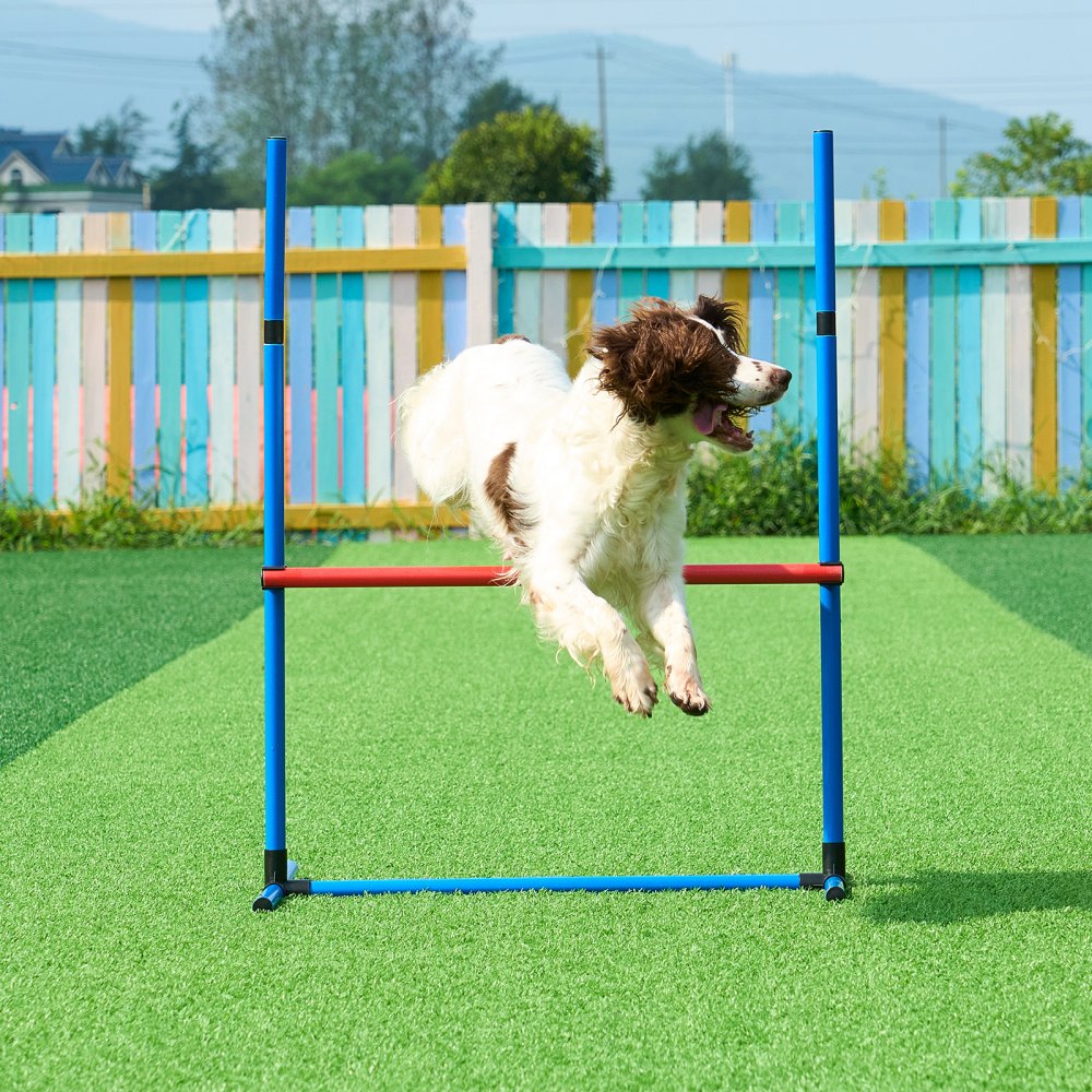 VEVOR Dog Agility Training Equipment 4 PCS Set with Hurdles Jump Ring Pause Box 