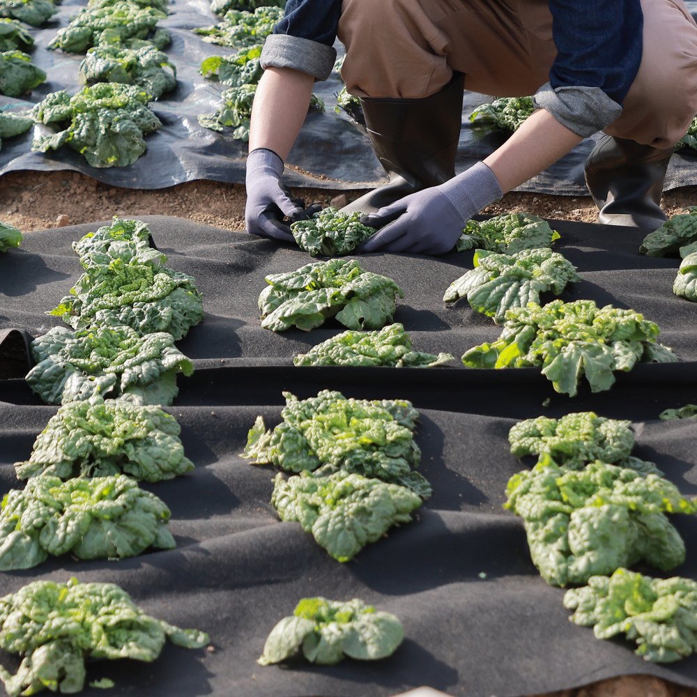 VEVOR Non Woven Geotextile Fabric Under Gravel, 10x100FT 8OZ Driveway Fabric Landscape Fabric, Heavy Duty Weed Barrier Fabric, Ground Cover Weed Control Fabric, French Drains Drainage Fabric, Black 