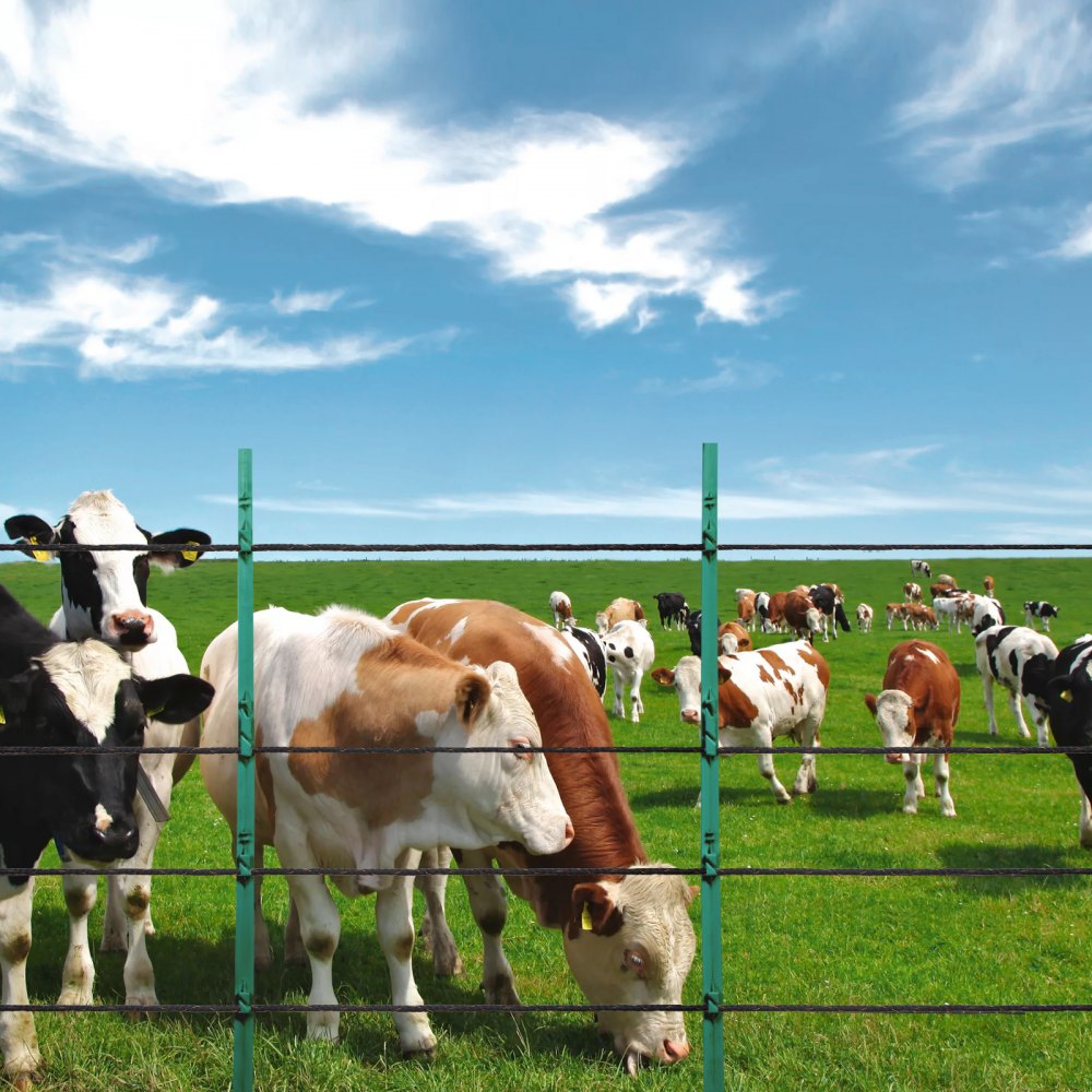 VEVOR 1000Ft 305M Electric Fence Wire Fencing Polywire Horse Cattle Livestock 