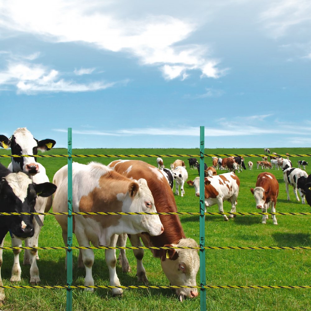 VEVOR 3366Ft 1026M Electric Fence Wire Fencing Polywire Horse Cattle Livestock 