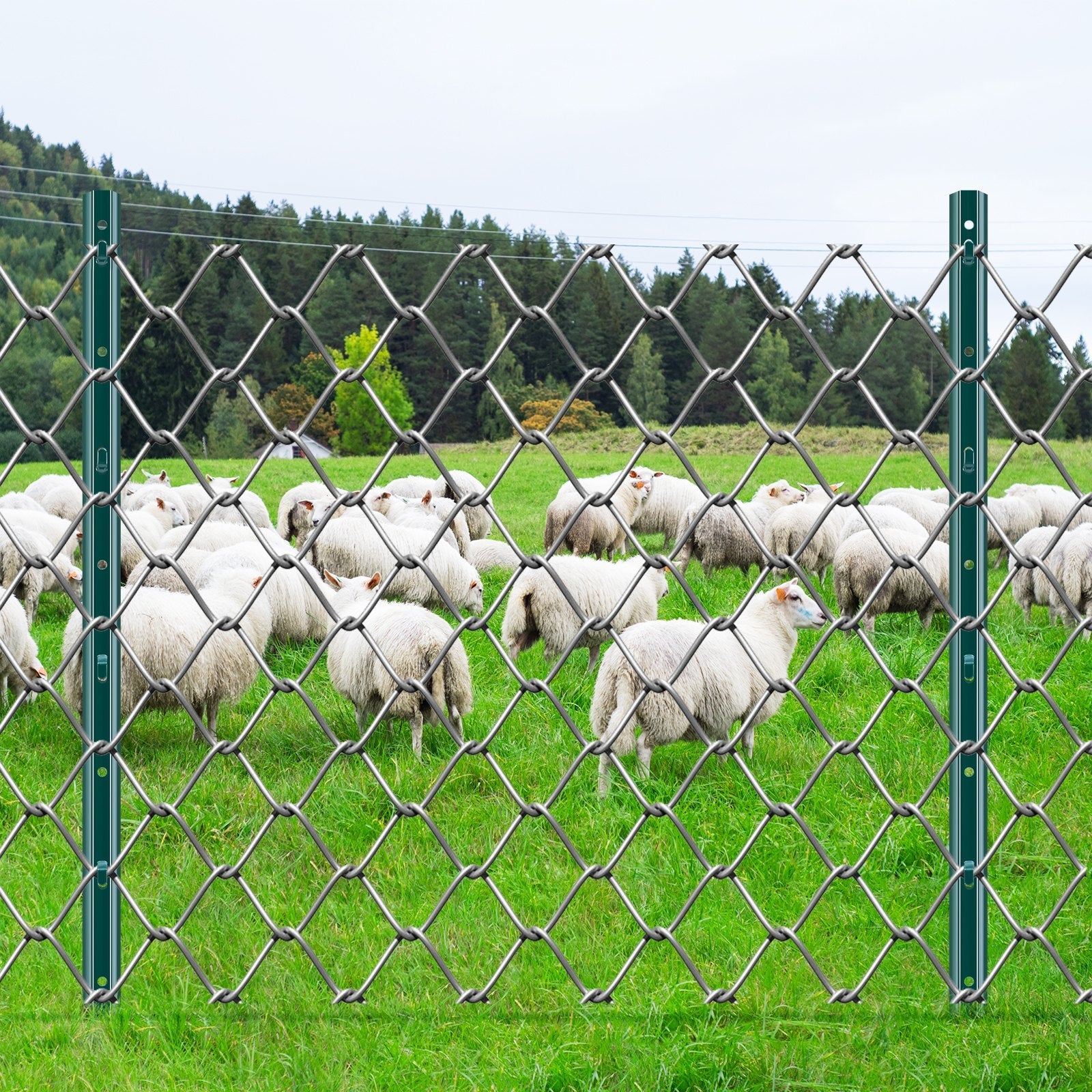 VEVOR 3 Feet Fence Post 10 Pack T-Post Heavy Duty Metal Fence Posts Green 