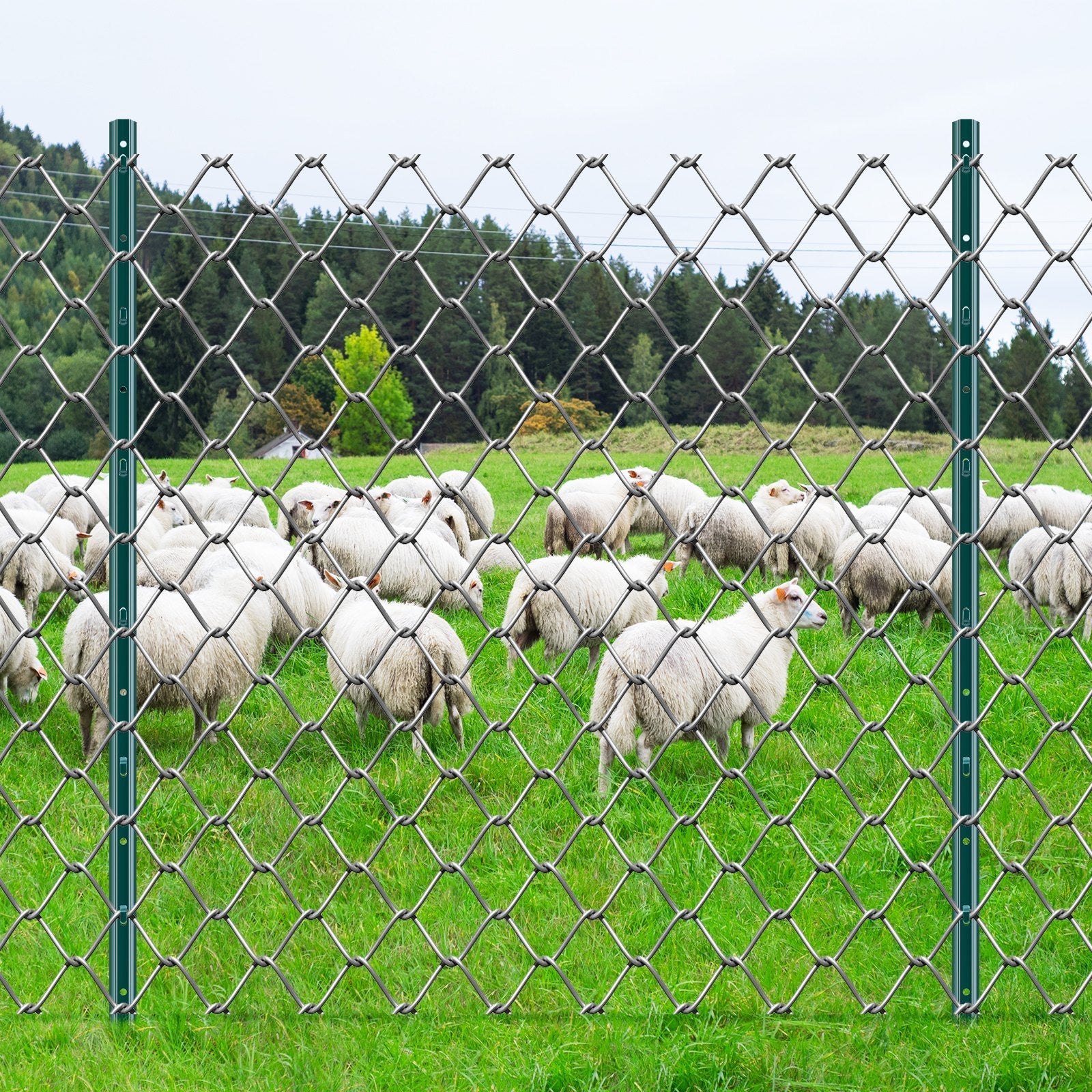 VEVOR 4 Feet Fence Post 10 Pack T-Post Heavy Duty Metal Fence Posts Green 