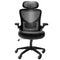 VEVOR Office Chair with Adjustable Lumbar Support, High Back Ergonomic Desk Chair with Adjustable Headrest, 2D Armrest, Ergonomic Office Chair Backrest, Computer Chair for Home Office