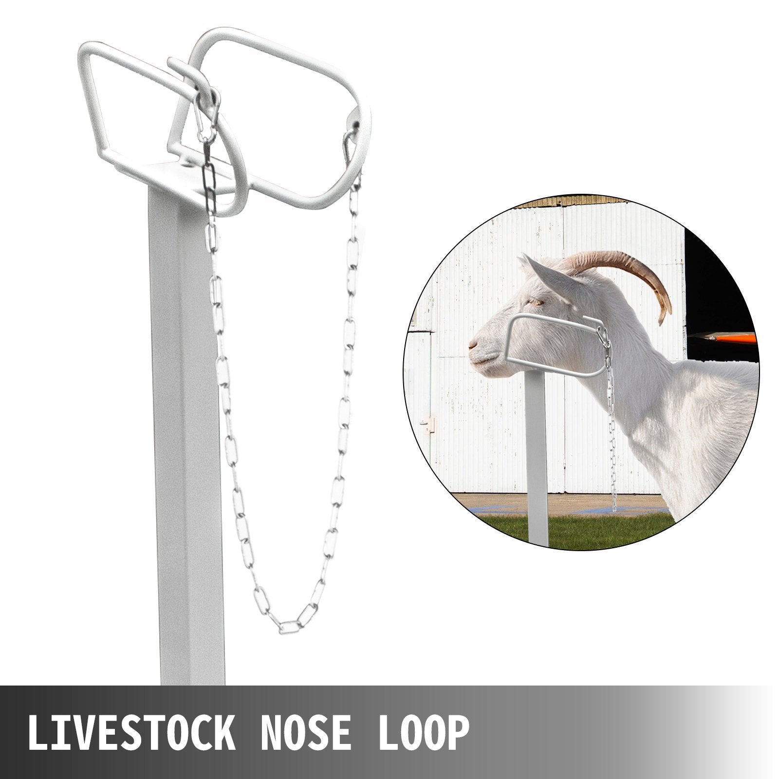 VEVOR Livestock Stand, 51x23 inches Trimming Stand with Straight Head Piece, Goat Trimming Stand Metal Frame Sheep Shearing Stand Livestock Trimming Stands for Sheep, Goats, and Other Livestock 