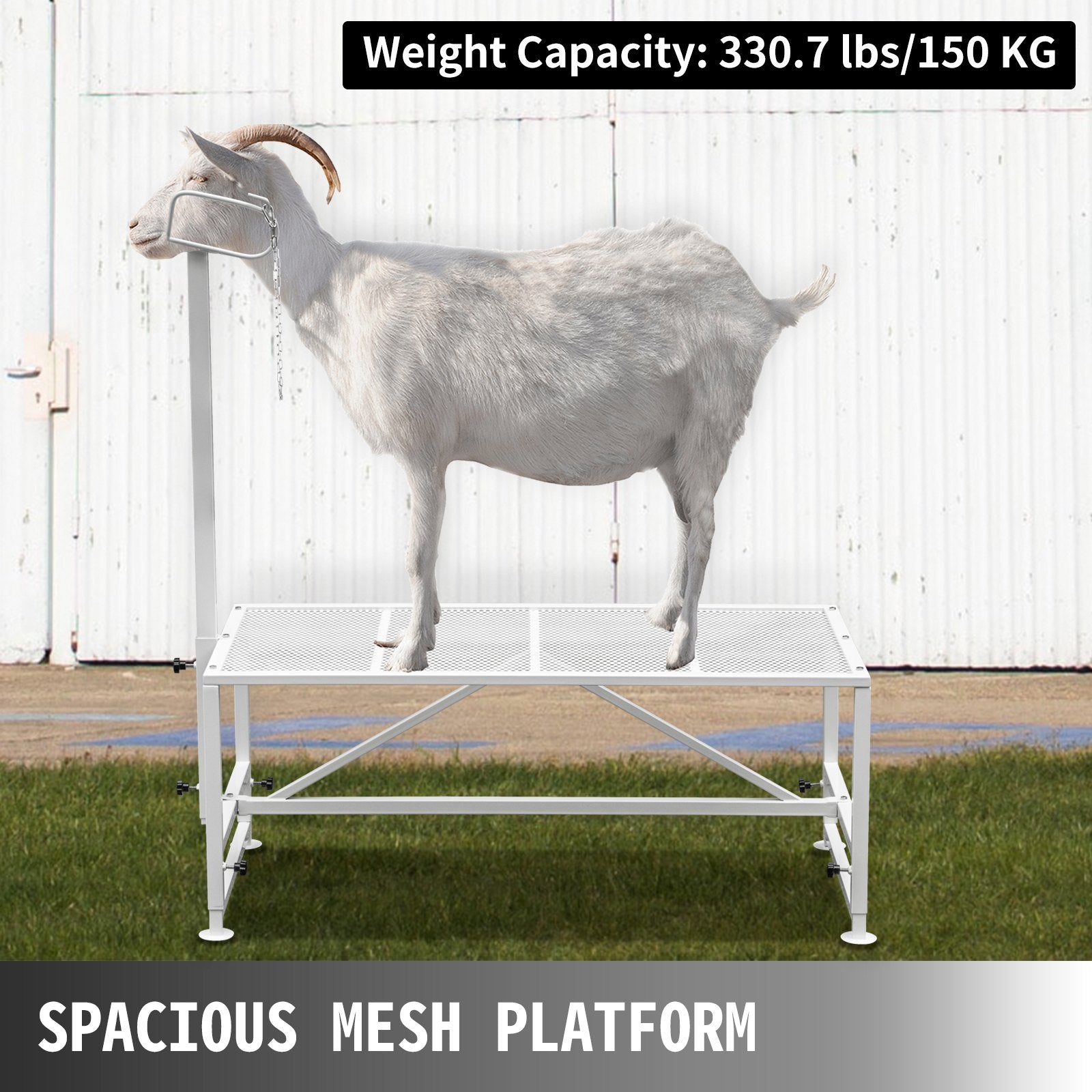 VEVOR Livestock Stand, 51x23 inches Trimming Stand with Straight Head Piece, Goat Trimming Stand Metal Frame Sheep Shearing Stand Livestock Trimming Stands for Sheep, Goats, and Other Livestock 