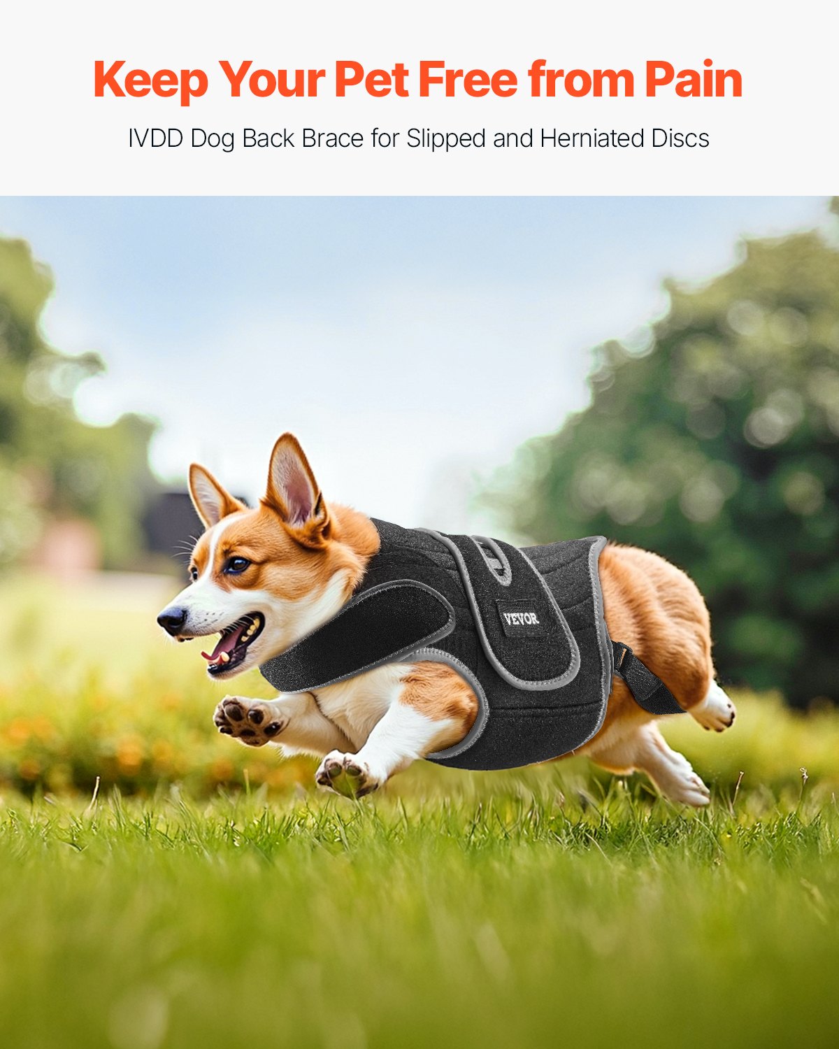 VEVOR Dog Back Brace Adjustable Dog Spine Support Harness for IVDD Pain Relief 
