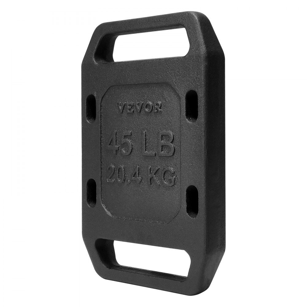 VEVOR Cast Iron Ruck Weights for Rucking Weight Plate with Handle 45LB Single 