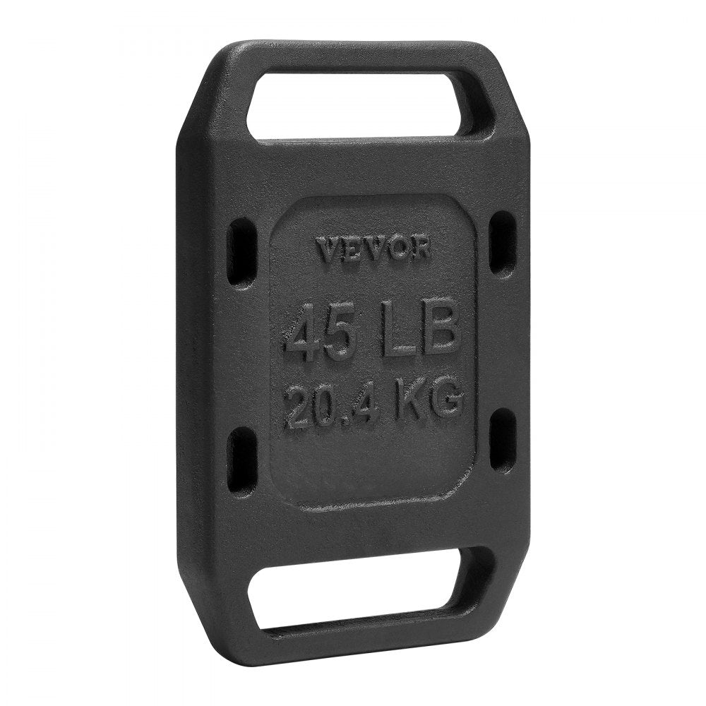 VEVOR Cast Iron Ruck Weights for Rucking Weight Plate with Handle 45LB Single 