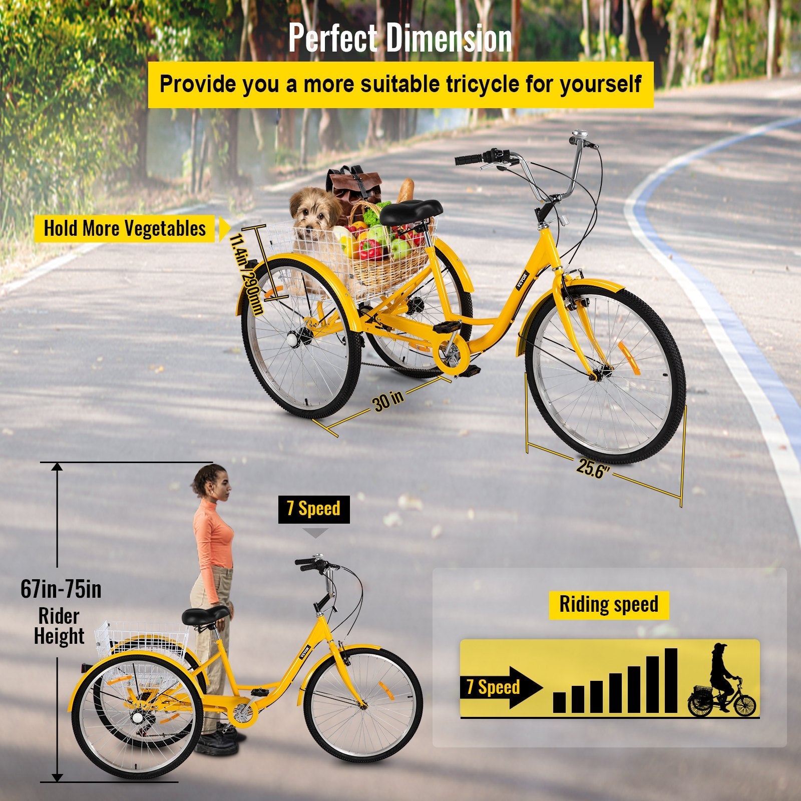 Adult Tricycle 26" 7-Speed 3-Wheel Trike Bicycle Bike Cruise w/ Basket Shooping 