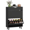 Narrow Shoe Cabinet for Entryway with 2 Flip Drawers, Top Drawer and Adjustable Shelves for 12 Pairs of Shoes, Black