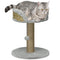 Cat Tree with Scratching Post, Toy Ball, Perch, Small Cat Tower for Indoor Cats - 16