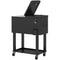 60 Quart Rolling Outdoor Cooler, Portable Rolling Patio Cooler Cart with Locking Wheels, Storage Shelf, Black