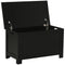 Large Storage Box Storage Trunk Cabinet Container with Lid and 2 Safety Hinges, Black