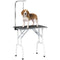 Foldable Pet Grooming Table for Dogs Cats with Adjustable Arm, Non-slip Surface, Black