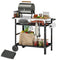 BBQ Stand with Stainless Steel Top Adjustable Shelf, Outdoor BBQ Station with Hooks Seasoning Tray Towel Rack